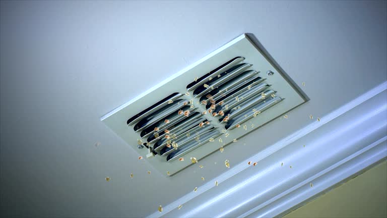 Best Ventilation Cleaning Services  in South Toms River, NJ