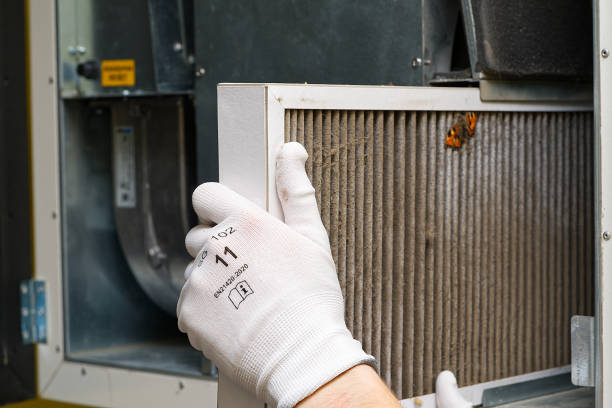 Best Affordable Duct Cleaning Services  in South Toms River, NJ